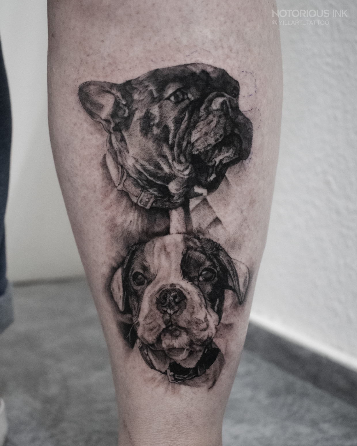 Hunde Portraits Tattoo