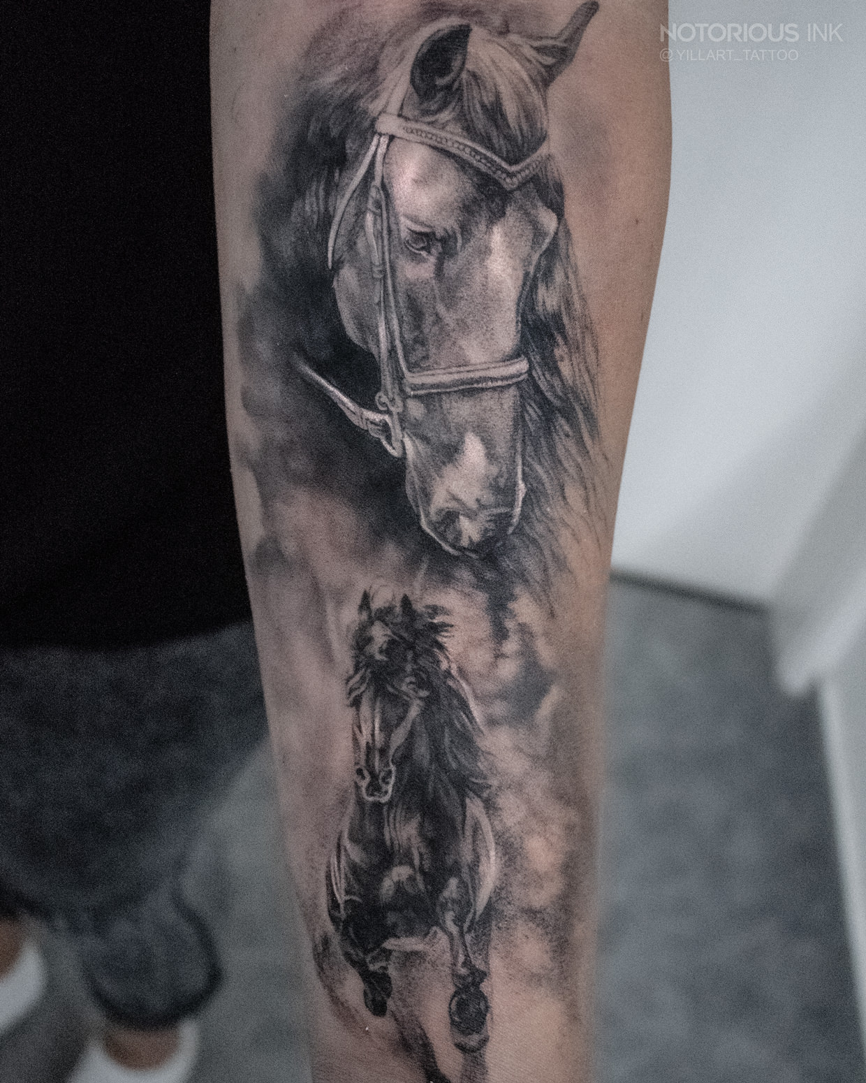 Realistic Tattoo Pferde auf dem Unterarm